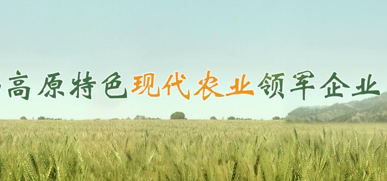 合作共贏促發(fā)展 打造現(xiàn)代農(nóng)業(yè)領軍企業(yè)